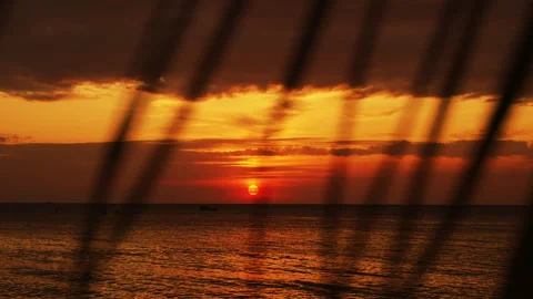 Golden Sun Setting Over the Ocean Horizon Behind Palm Trees. Video stock 292867679