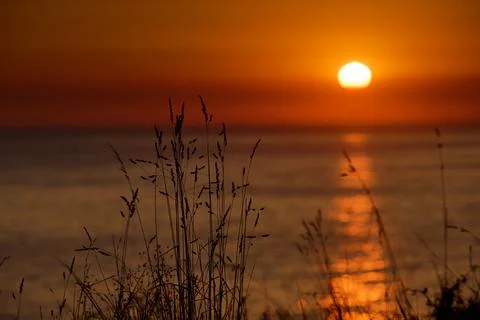 Golden sun setting over ocean with grass silhouette Stock Photos