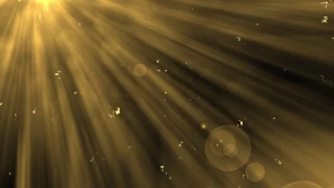 Golden sunbeams with floating particles during an ethereal sunrise over a d.. Stock Footage 341665008
