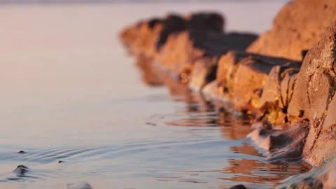 Golden sunlight casts warm glow over peaceful rocky ocean shore. Stock Footage 337406886