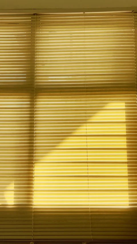 Golden sunlight creates bold geometric shadows across closed horizontal win.. Stock Footage 340115934