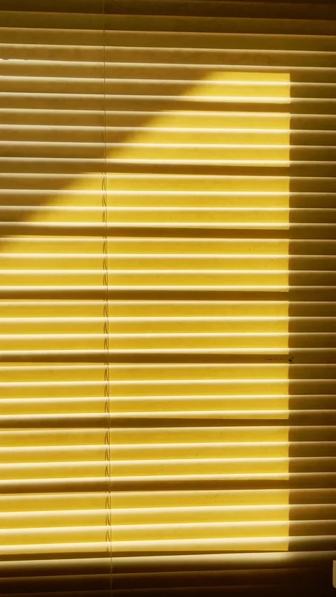 Golden sunlight creates bold geometric shadows across closed horizontal win.. Stock Footage 340115942