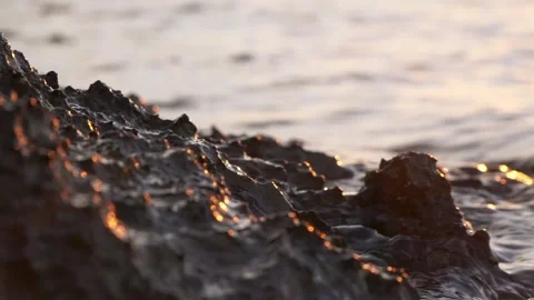 Golden sunlight dances on wet volcanic rocks by the ocean. Stock Footage 337409465