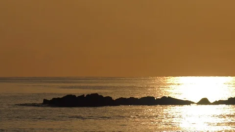 Golden Sunlight reflected on calm waves with birds - 4K Nature Stock Footage 106106706