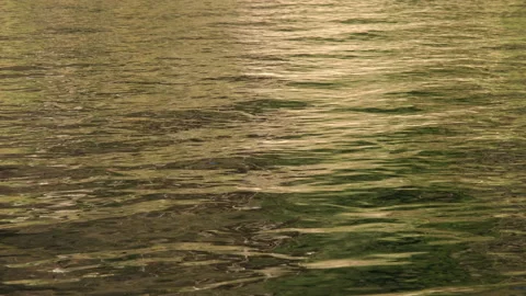 Golden sunlight reflected on the surface of the sea. Stock Footage 229711758