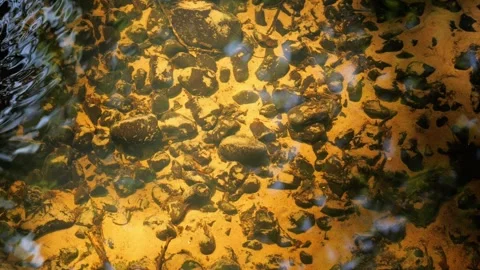 Golden sunlight reflecting on clear river water Stock Footage 337730219