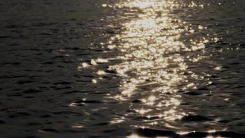 Golden sunlight reflection on dark water surface ripples Stock Footage 343795338