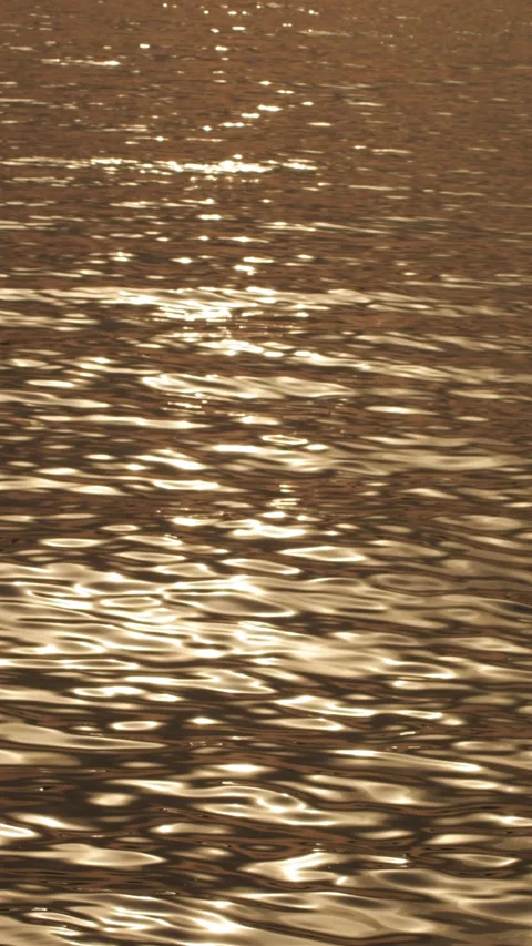 Golden sunlight reflection on water ripples in 4k vertical format Stock Footage 344880292