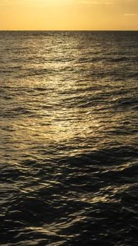 Golden Sunlight Reflections on Ocean Surface 스톡 사진