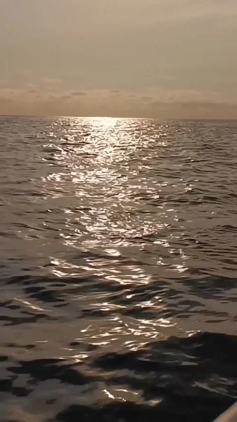 Golden Sunlight Shimmering on Ocean Waves at Sunset Video stock 341267512