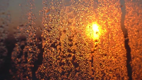 Golden Sunlight Shining Through Rain Droplets on a Foggy Window Pane Stock Footage 342212163