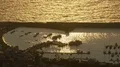 Golden sunlit waters of dusk sea and harbor with boats, luxury yachting hobby HD Footage