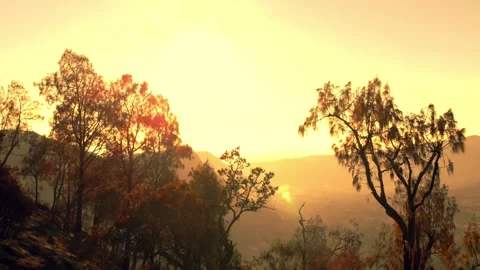 Golden sunrise at Bromo Stock Footage 304151753
