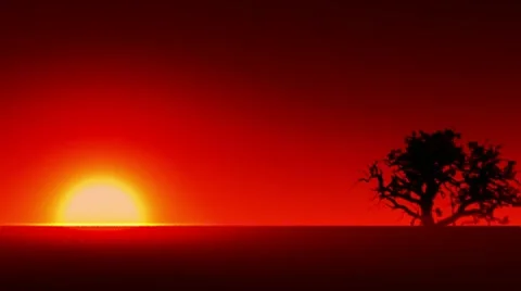 Golden sunrise Stock Footage 10088299