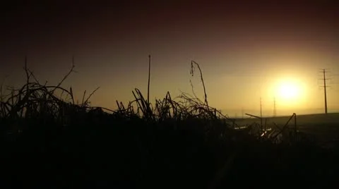 Golden sunrise 스톡 동영상 10726242