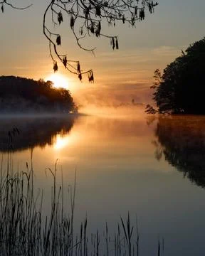 Golden Sunrise Over Misty Forest Lake Reflection Stock Photos