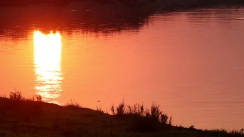 Golden Sunrise Reflection on Calm River Water Stock Footage 328529564