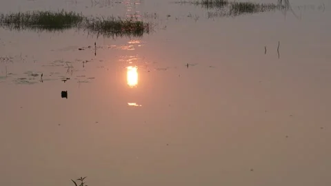 Golden sunrise reflection Stock-Footage 329385353