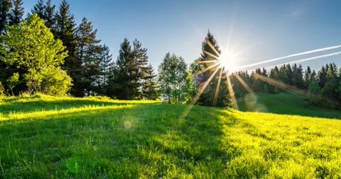 Golden sunset above spring forest surrounded by fresh green nature, Time lapse Stock Footage 307703839