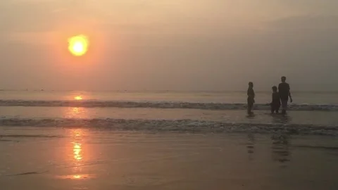 Golden sunset by the beach Stock Footage 237009429