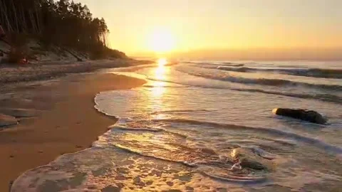 Golden Sunset on Beach with Waves and Forest 4K` Stock Footage 339425550