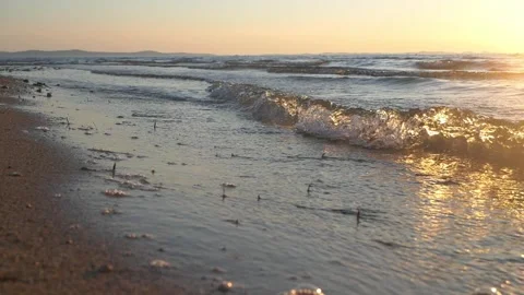 Golden Sunset Beach Waves Rolling Along A Quiet Sandy Shoreline Stock Footage 337416694