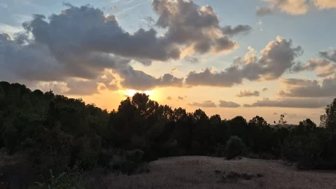 Golden Sunset Behind Forest  at Dusk Stock Footage 320224360