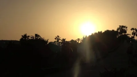 Golden sunset behind palm trees in Golf del Sur Tenerife Spain Video stock 80800662