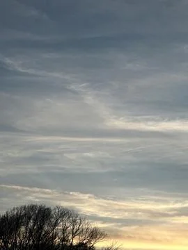 Golden Sunset Clouds Over Dark Tree Line Stock Photos
