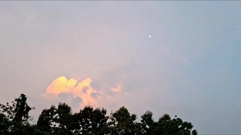 Golden Sunset Clouds Over Tree Silhouettes In Sky Stockbeeldmateriaal 340883121