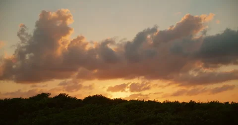 Golden sunset clouds rise above dense coastal jungle near Caribbean Tulum Mexico 库存影片 341345378