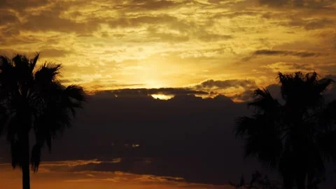 The golden sunset dips behind palm trees in a dramatic evening sky, creatin.. Vidéo 292074097