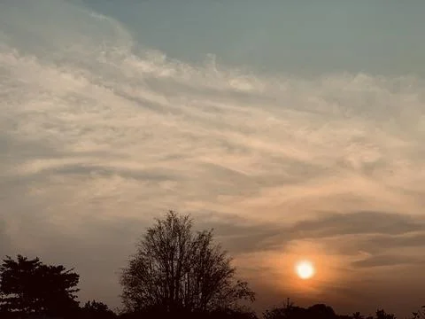 Golden Sunset with Dramatic Clouds and Tree Silhouettes in Jakarta Stock Photos