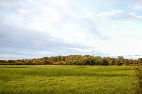 Golden sunset with dramatic clouds over English countryside fields and trees. Stock Photos