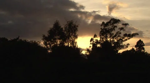 Golden sunset Stock Footage 30571257