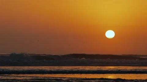 Golden sunset Stock-Footage 42648743