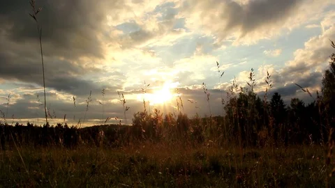 Golden Sunset Stock Footage 76465111
