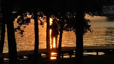 Golden sunset Stock Footage 90043533