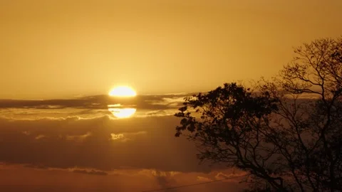 Golden sunset glowing through clouds and silhouetted trees above Peten Guatemala Stock Footage 335363625