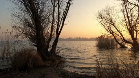 Golden sunset by the lake Stock Footage 199760508