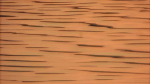 Golden sunset light and shadow wave rippling flowing seamless texture background Stock Footage 237472327