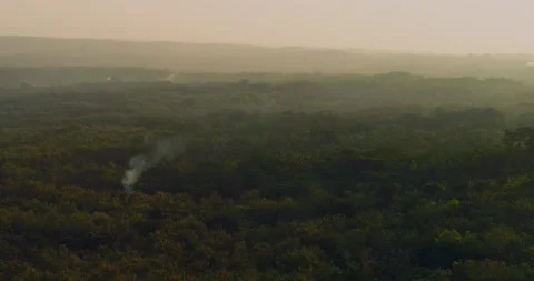Golden Sunset Light Over Dense Tropical Forest and Hills Aerial 스톡 동영상 332262175