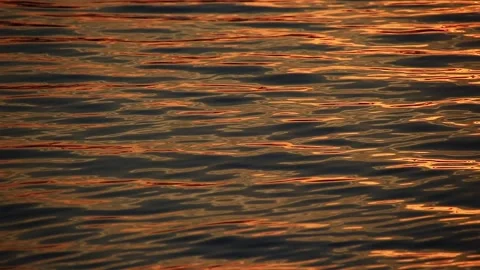 Golden sunset light reflected on the gentle waves in the water Stock Footage 171288335