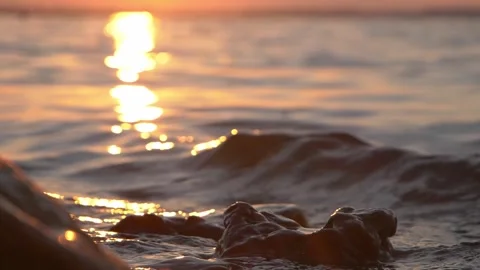 Golden sunset light reflecting on gentle ocean waves near rocks Stock Footage 337409753