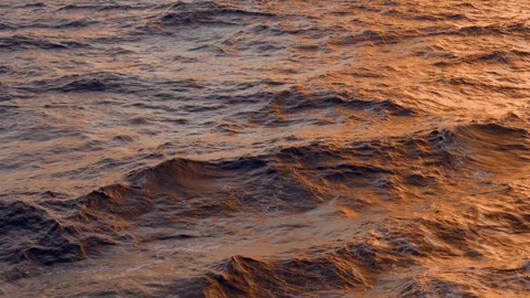 Golden Sunset Light Reflecting on Ocean Waves with Warm Orange Tones. Vídeos de archivo 341990740