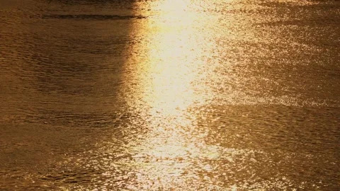 Golden sunset light reflecting on the rippling surface of a calm flowing river Video stock 341950721