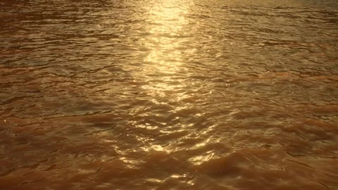 Golden sunset light reflecting on the rippling surface of a flowing river stream Stock Footage 341955993