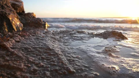 Golden sunset light reflecting on wet rocky ocean beach shore Stock Footage 342317837