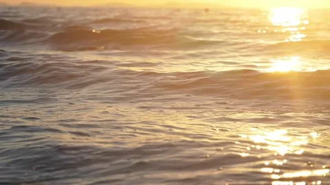 Golden sunset light reflects brightly across gentle ocean water waves. Stock Footage 337408743