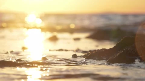 Golden sunset light reflects brightly across wet rocky coastal beach. Stock Footage 337413547